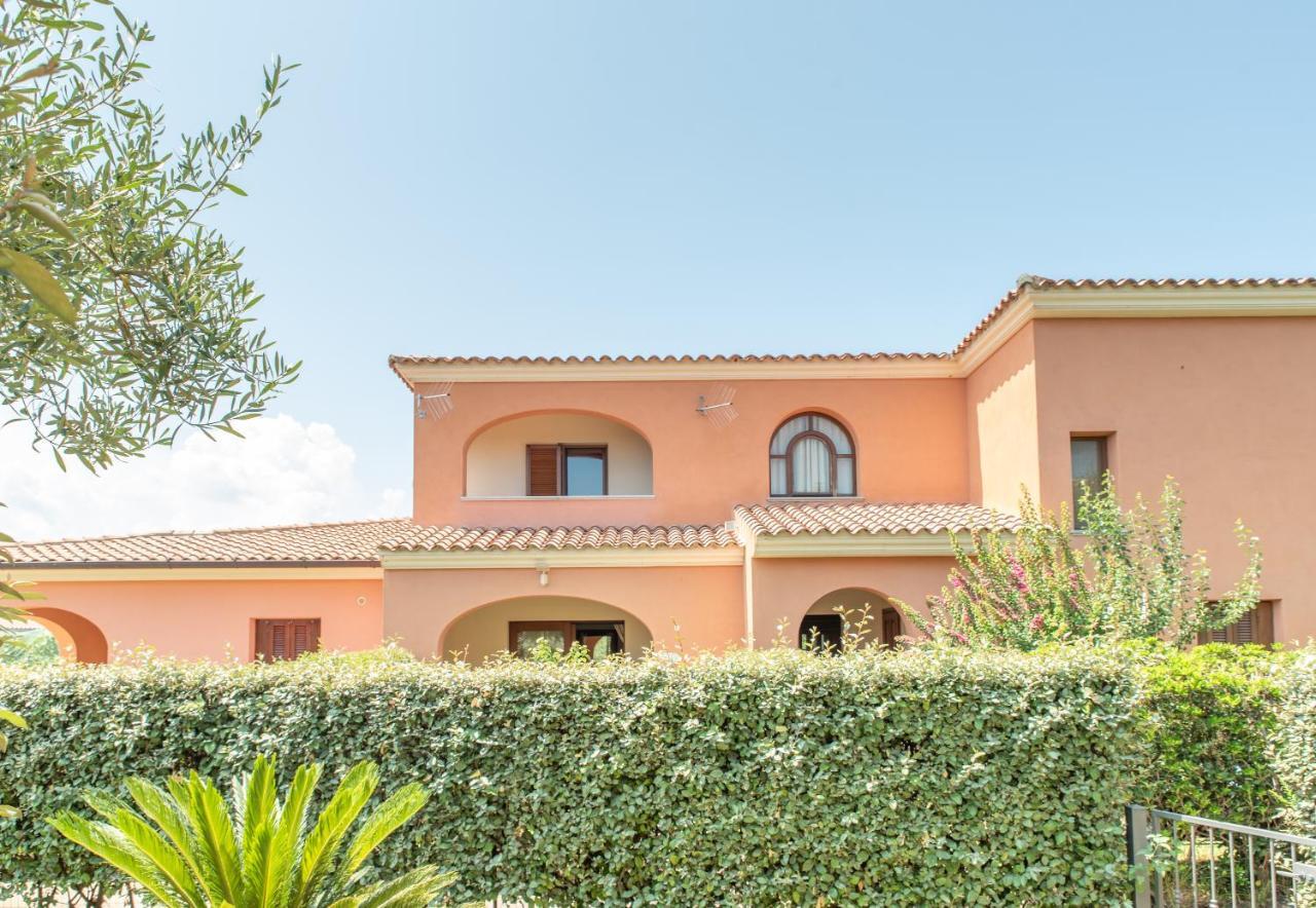 Olivastro Villa San Teodoro (Sardinia)